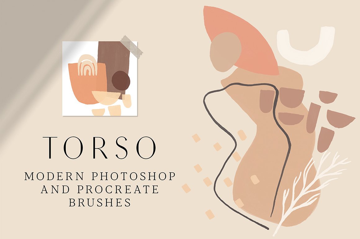 Torso - Photoshop and Procreate Stamp Brushes