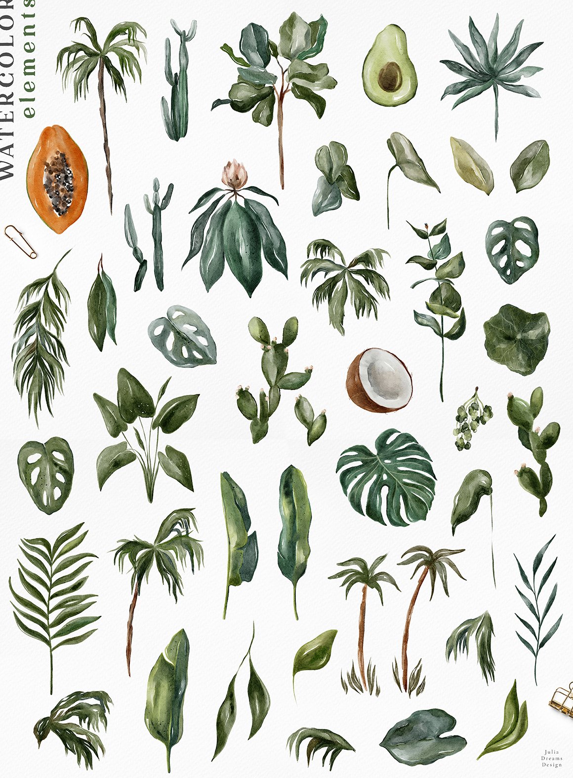 Tropical Leaves Collection
