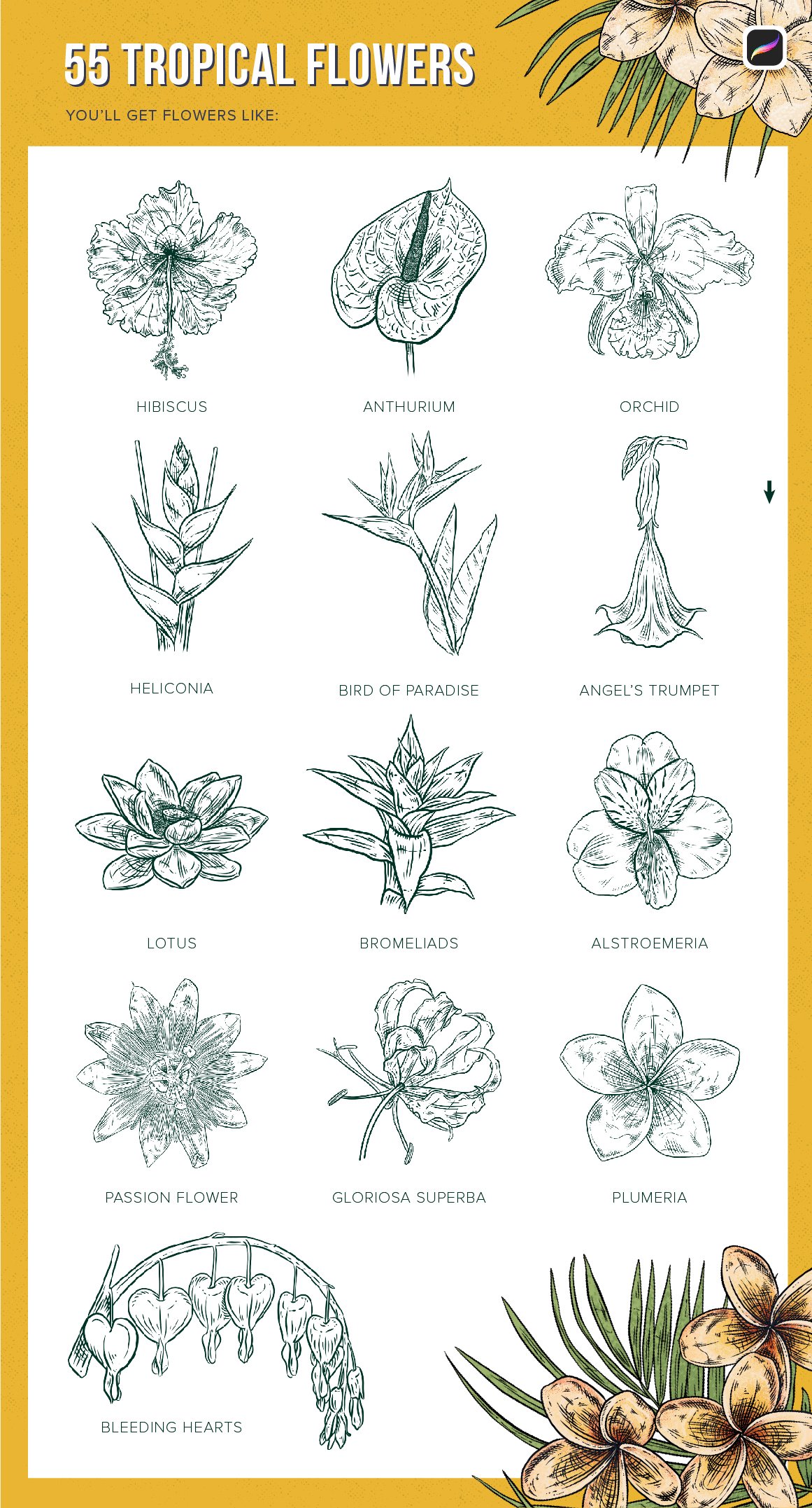 111 Tropical Stamp Brushes for Procreate