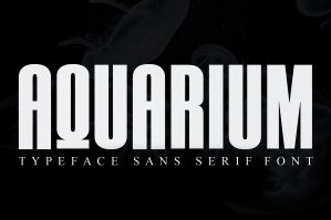 Aquarium Sans Serif Font