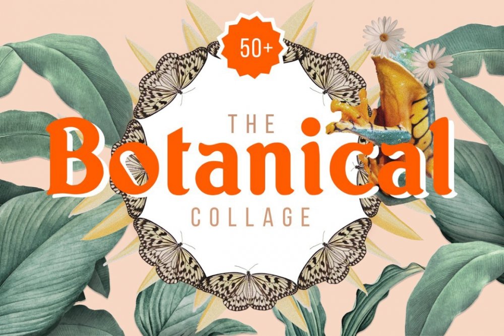 Botanical Collage Cut-Outs: Digital Art Maker Kit