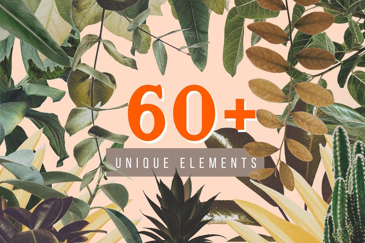 Botanical Collage Cut-Outs: Digital Art Maker Kit