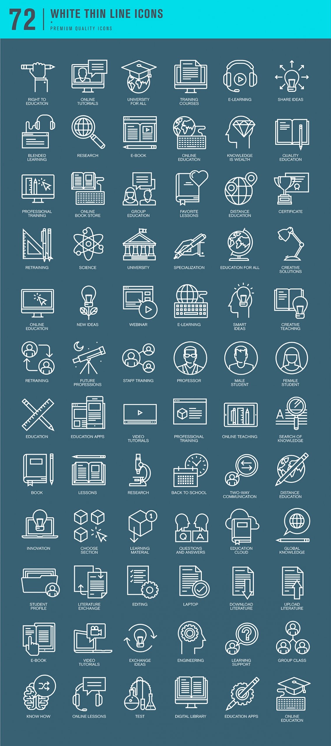 Set of Thin Line Icons for Online Education