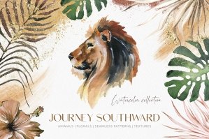 Southward Watercolor Collection