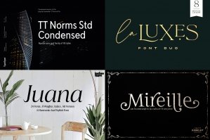 The Font Collector’s Handpicked Selection - Re-Run