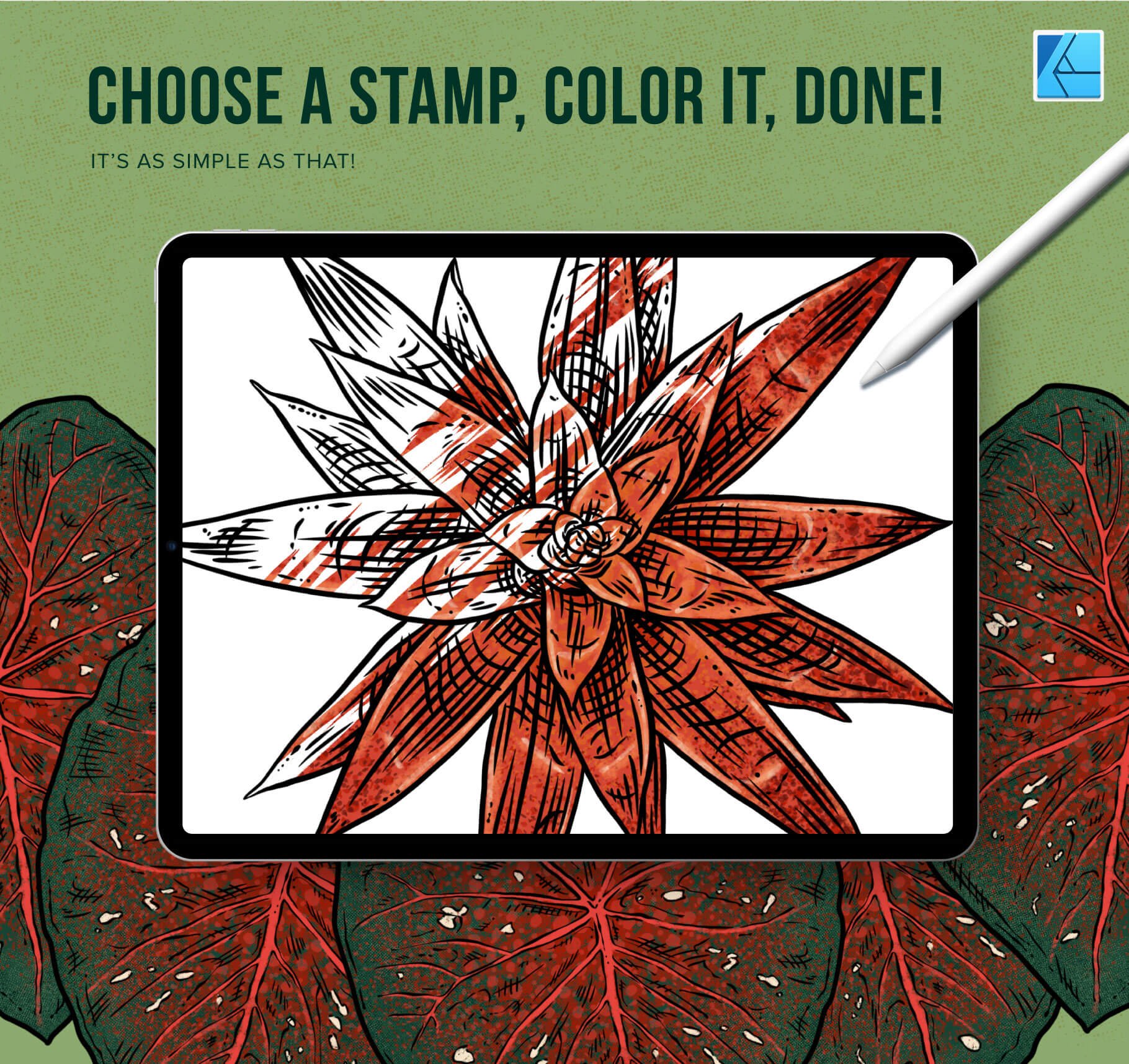 111 Tropical Stamp Brushes for Affinity Designer