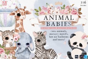 Animal Babies - Watercolor Animal Illustrations