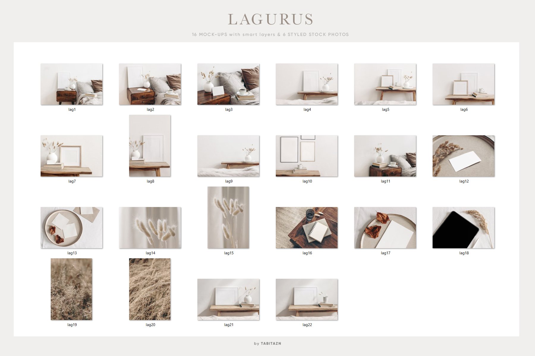 Lagurus Photos & Mockups
