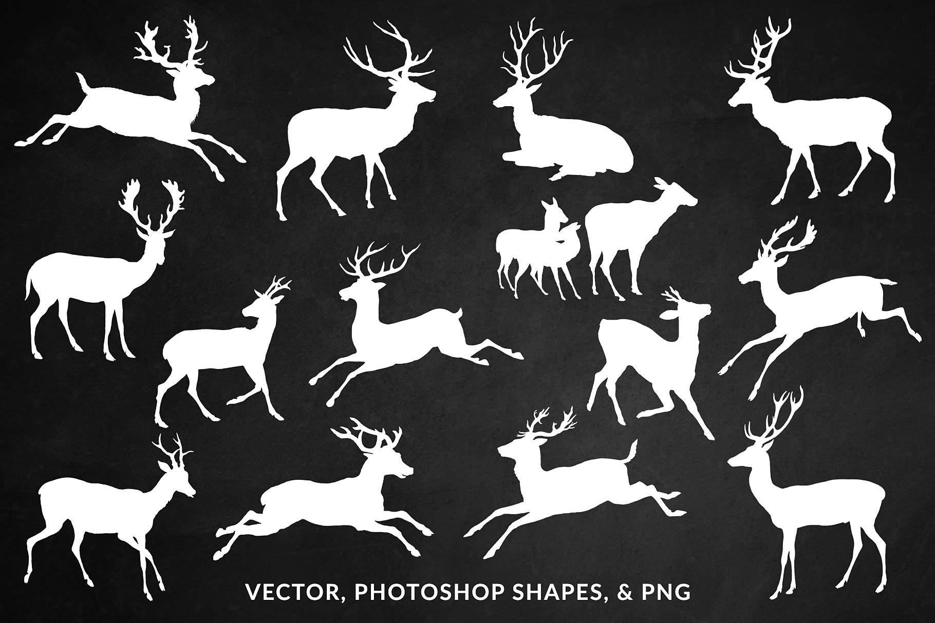 Oh Deer Vintage Engraving Illustration Graphics