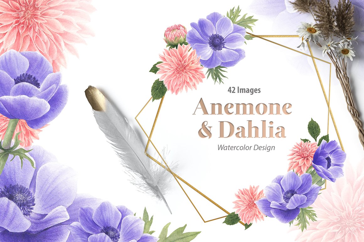 Anemone & Dahlia Flowers Watercolor