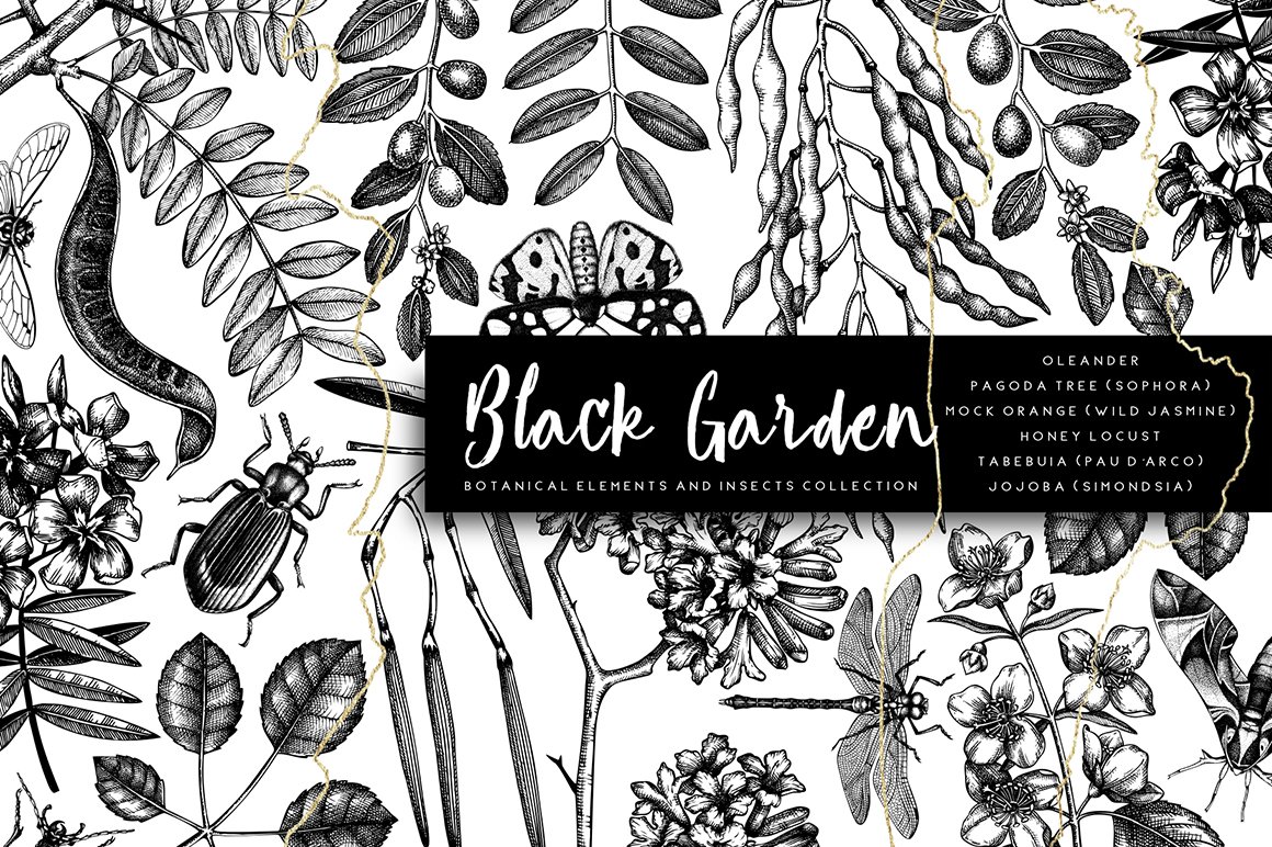 Black Garden, Vector Trees & Insects