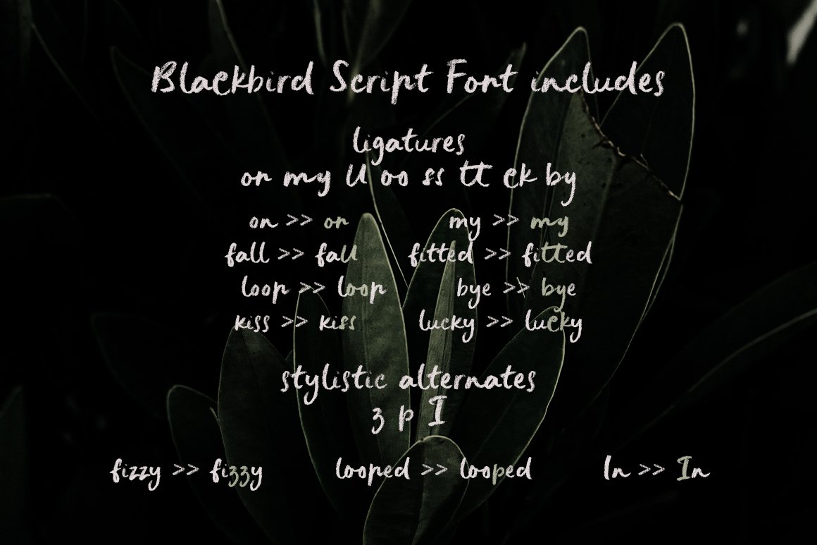 Blackbird Crayon Script SVG Font
