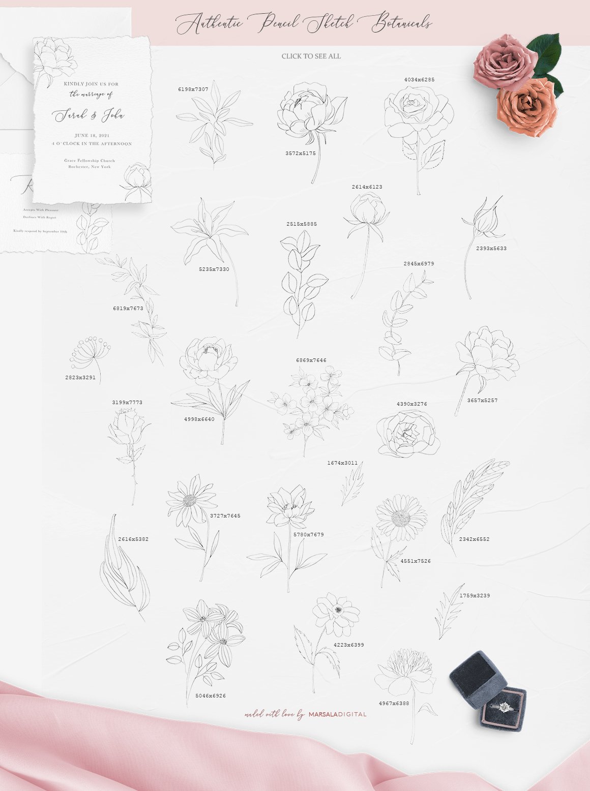 Botanical and Floral Illustrations