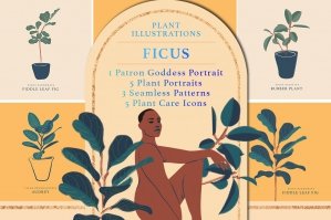 Ficus Plant Illustration Pack