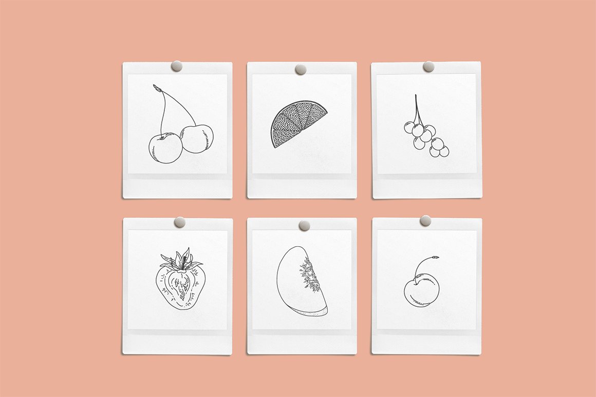 Fruit Salad Vector Illustrations