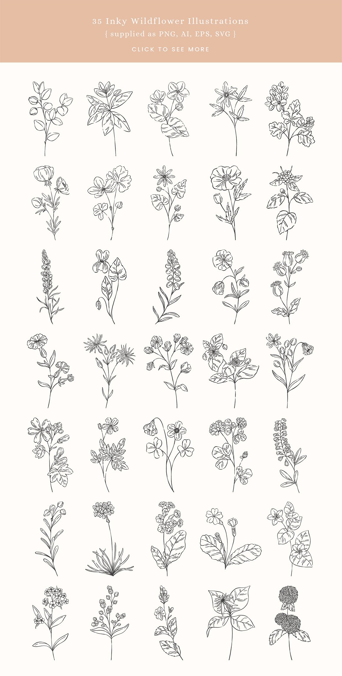 Inky Wildflower Vector Illustrations