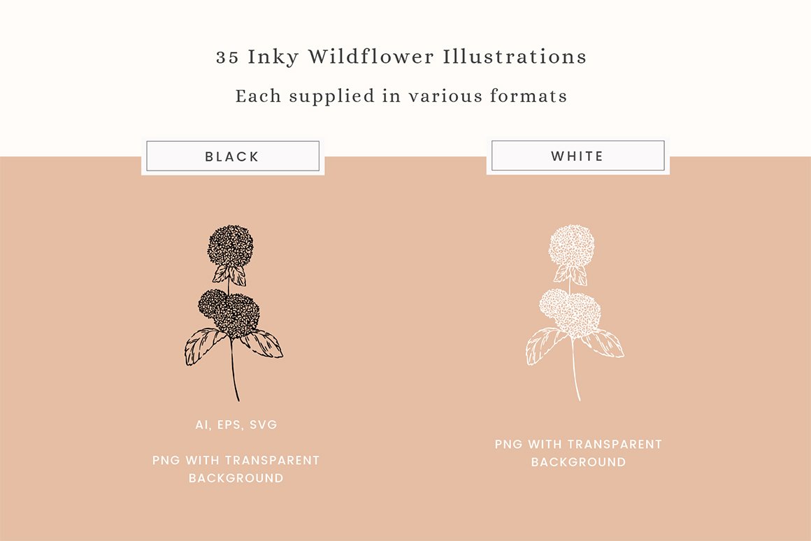 Inky Wildflower Vector Illustrations