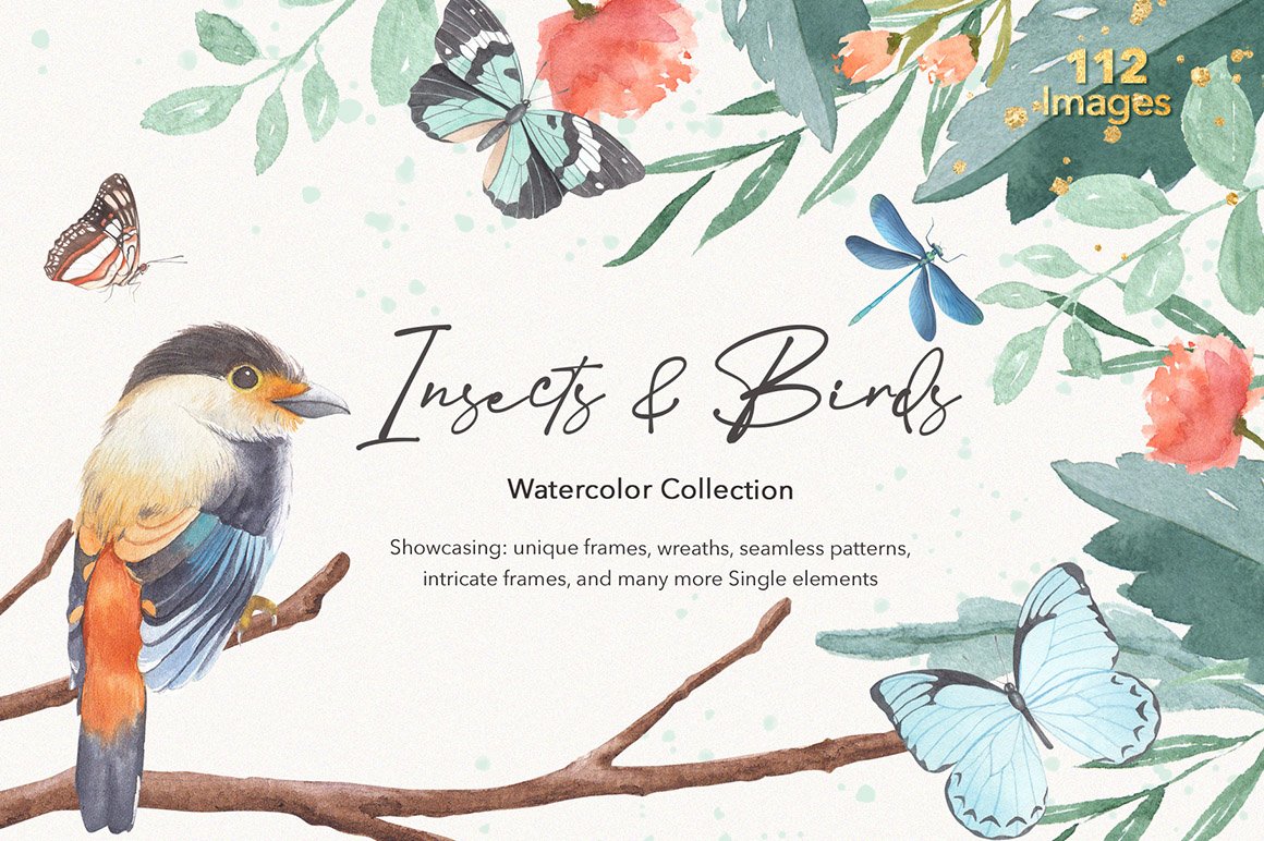 Insects & Birds Watercolor Collection