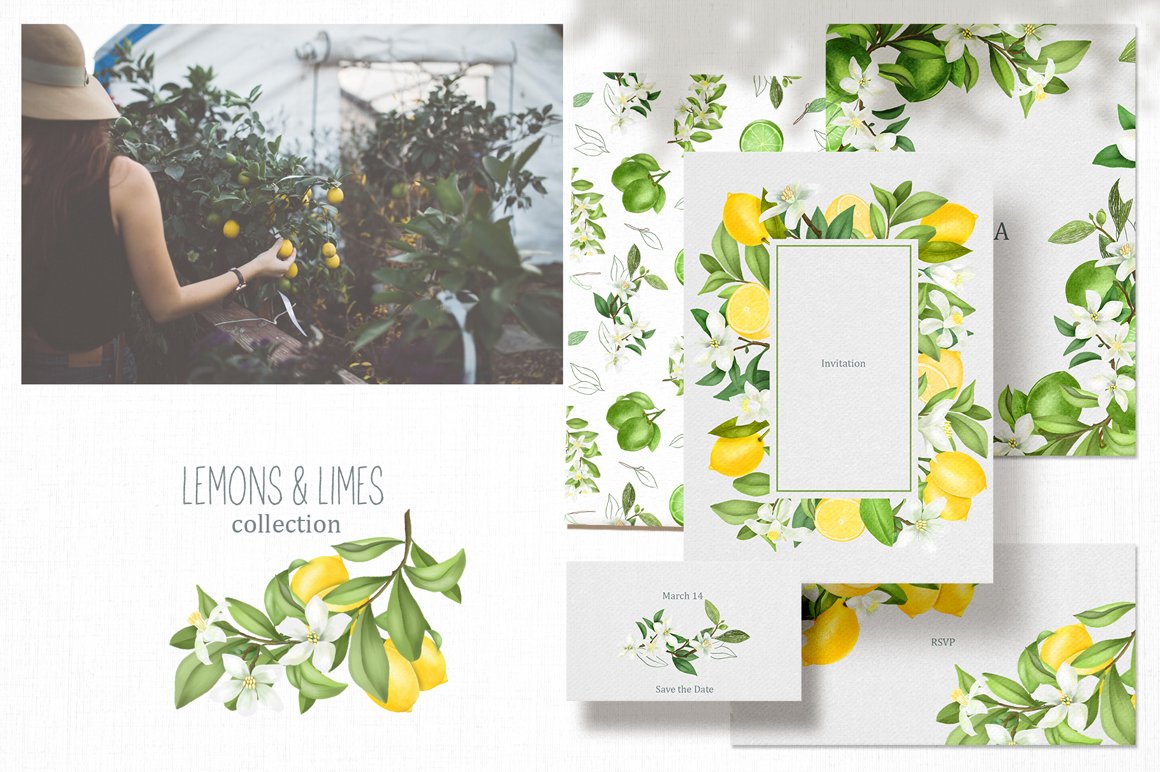 Lemons & Limes Collection