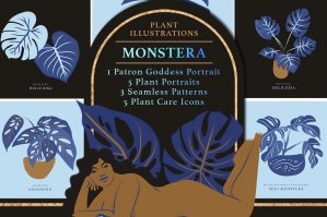 Monstera Plant Illustration Pack