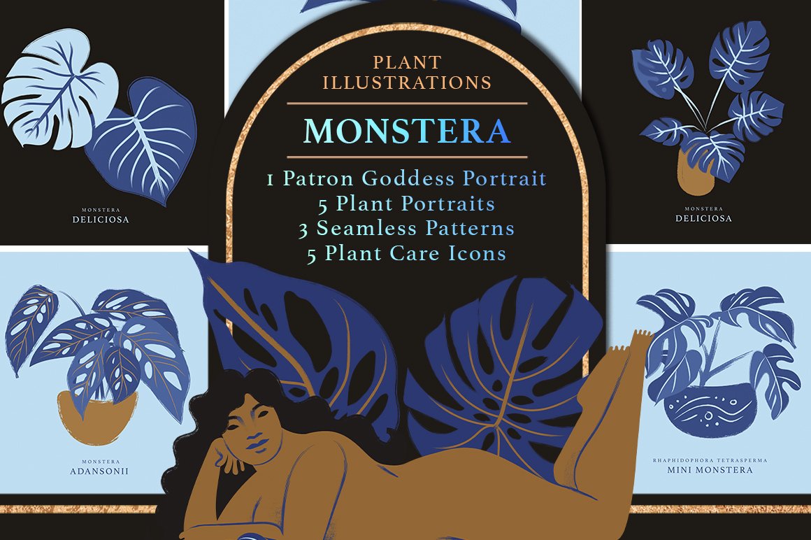 Monstera Plant Illustration Pack