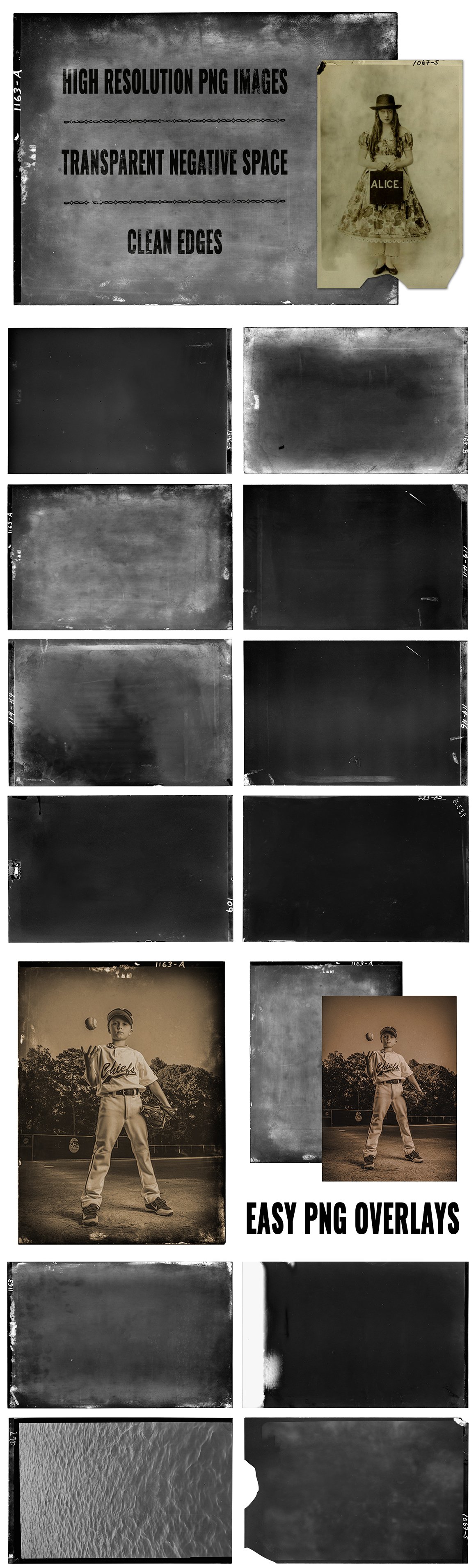Nitrate Negatives