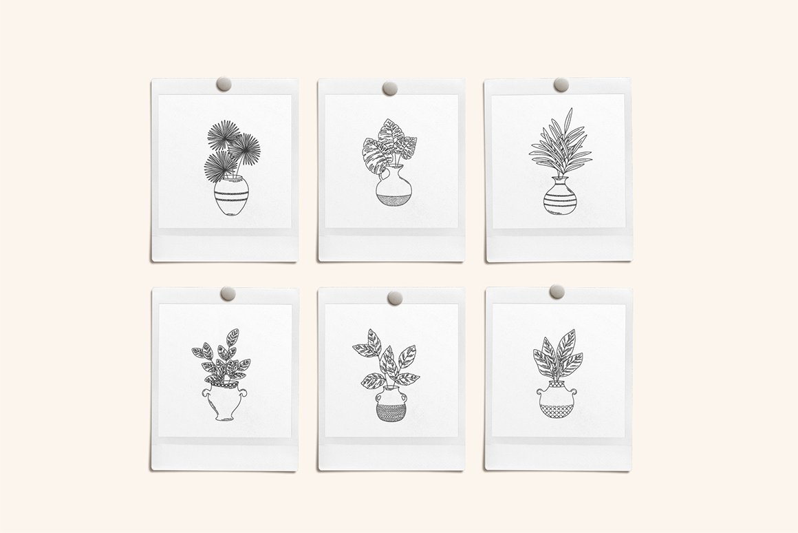 Pots & Plants Vector Illustrations