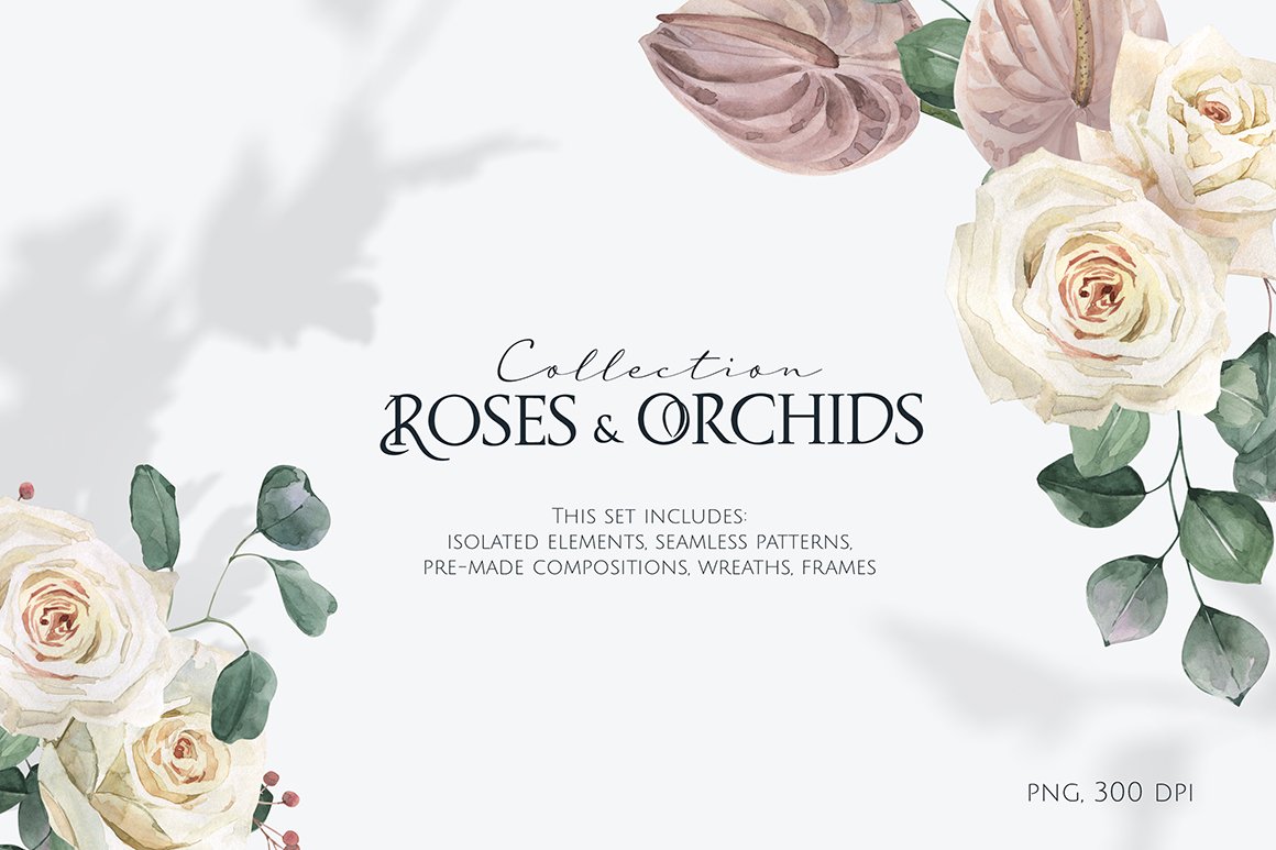 Roses & Orchids Watercolor Set