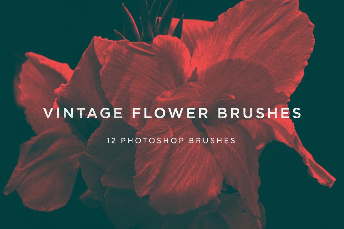 Vintage Flower Brushes