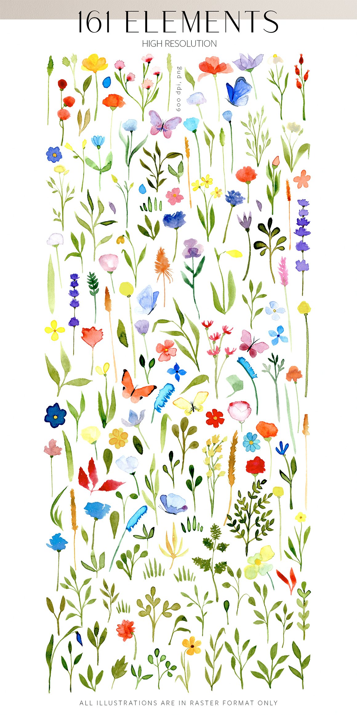 Wildflowers Watercolor Collection