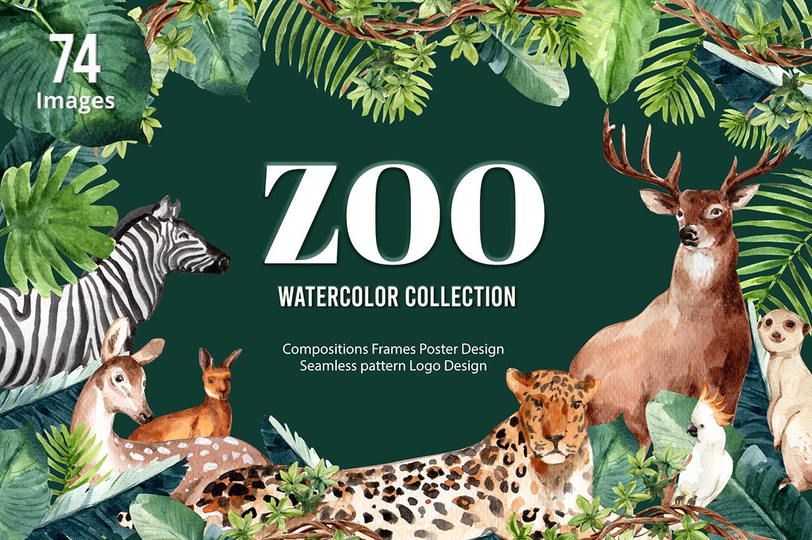 Zoo the Animals Wildlife Watercolor
