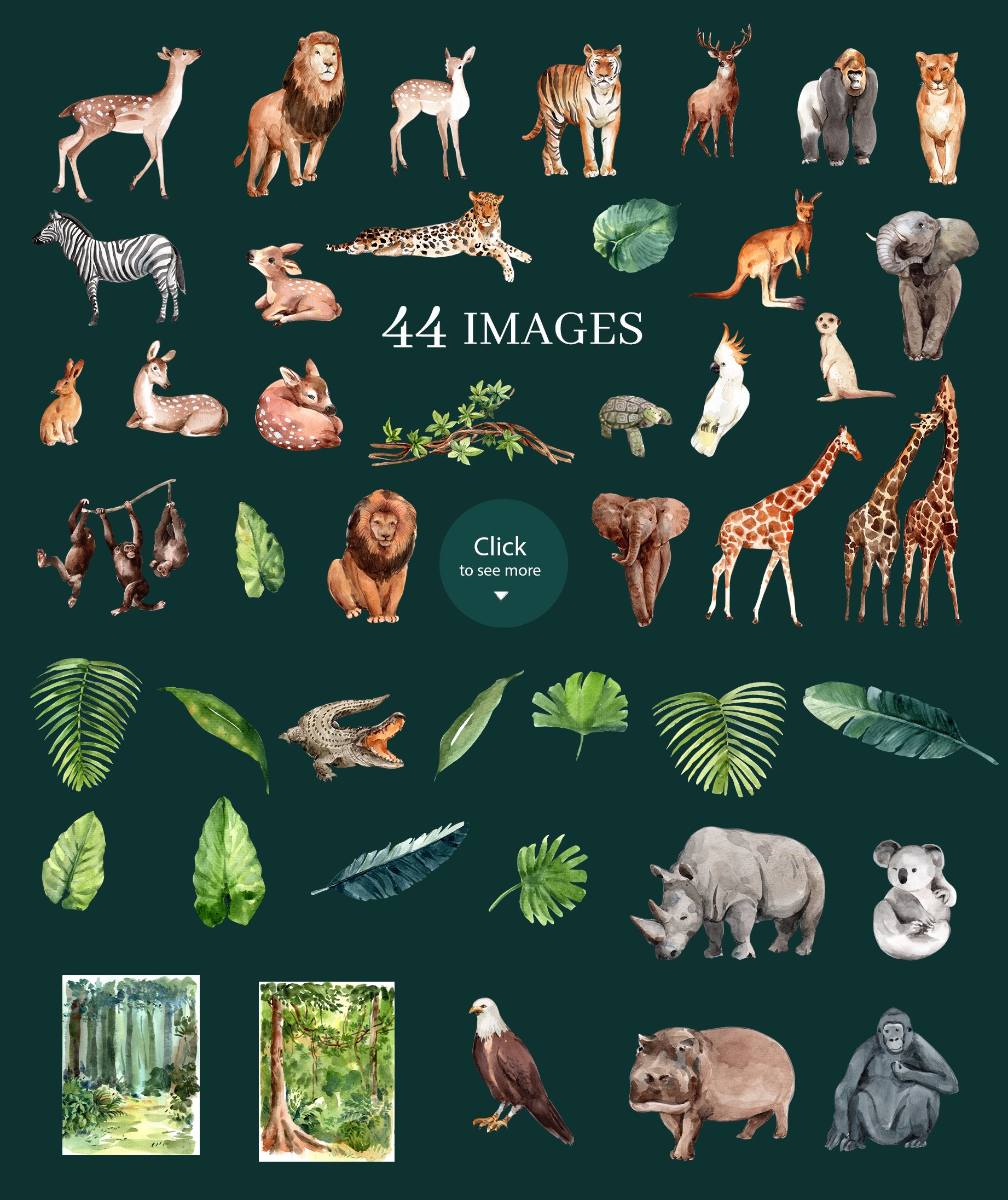 Zoo the Animals Wildlife Watercolor