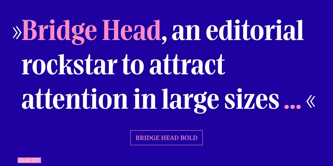 Bridge Head Basic