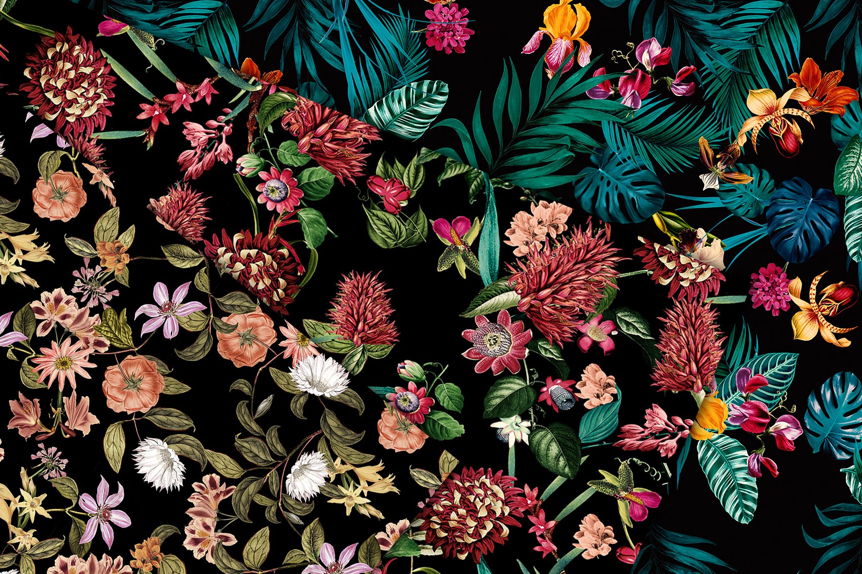 Dark Botanical Set of Design with Exquisite Motif - Design Cuts