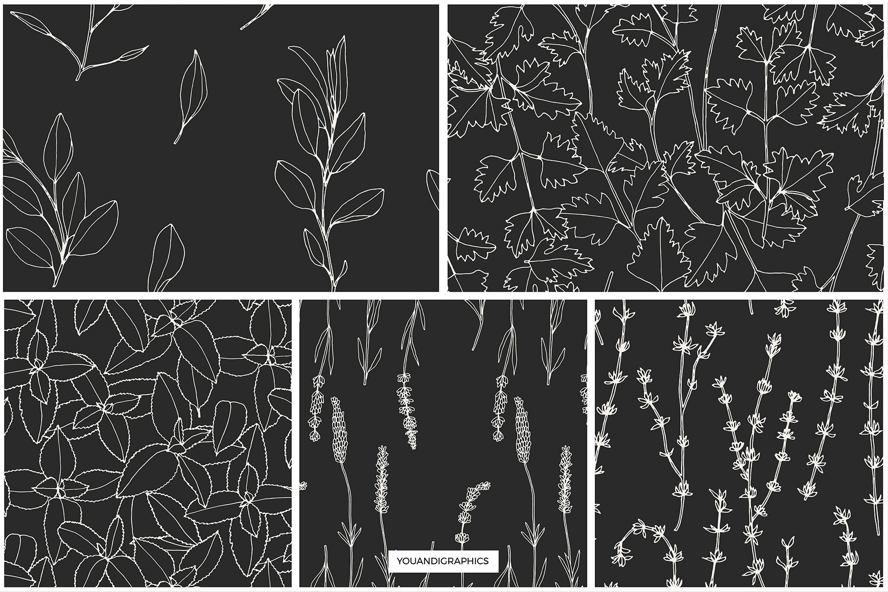 Herbs Patterns & Illustrations