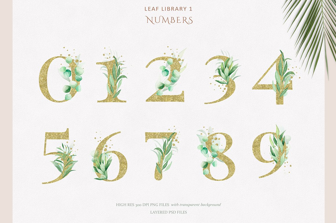 Leaf Library V1 Collection