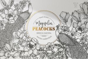 Magnolia and Peacocks Vector Set