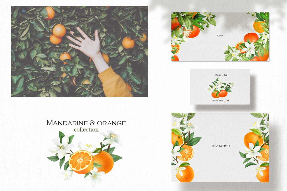 Mandarine and Orange