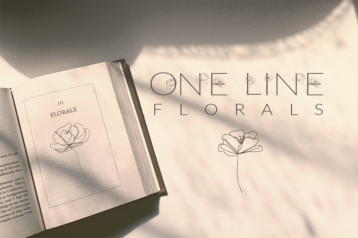 One Line Floral Drawings - Abstract Graphics