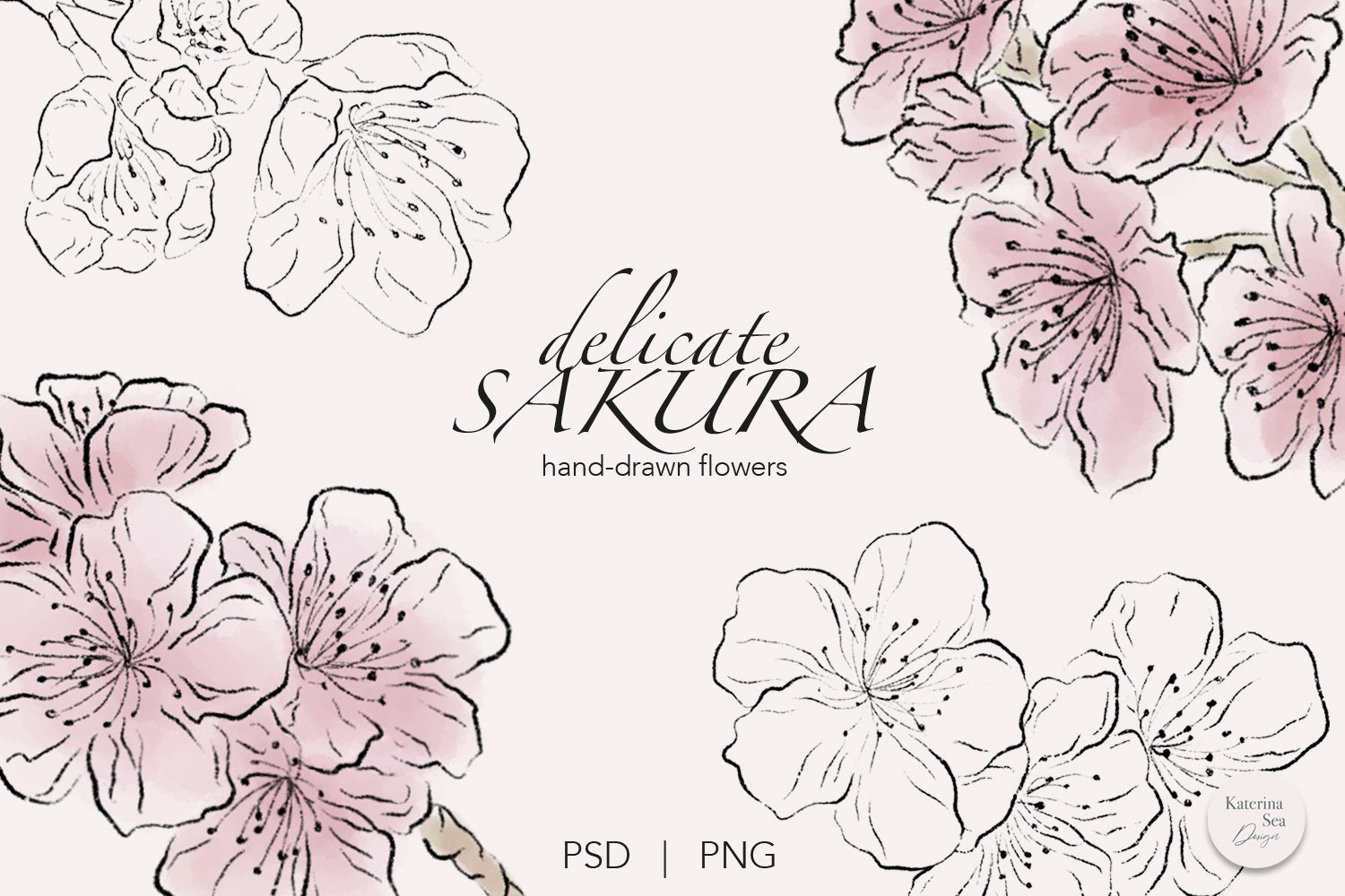 Sakura Flowers Ink & Watercolor Clip Art
