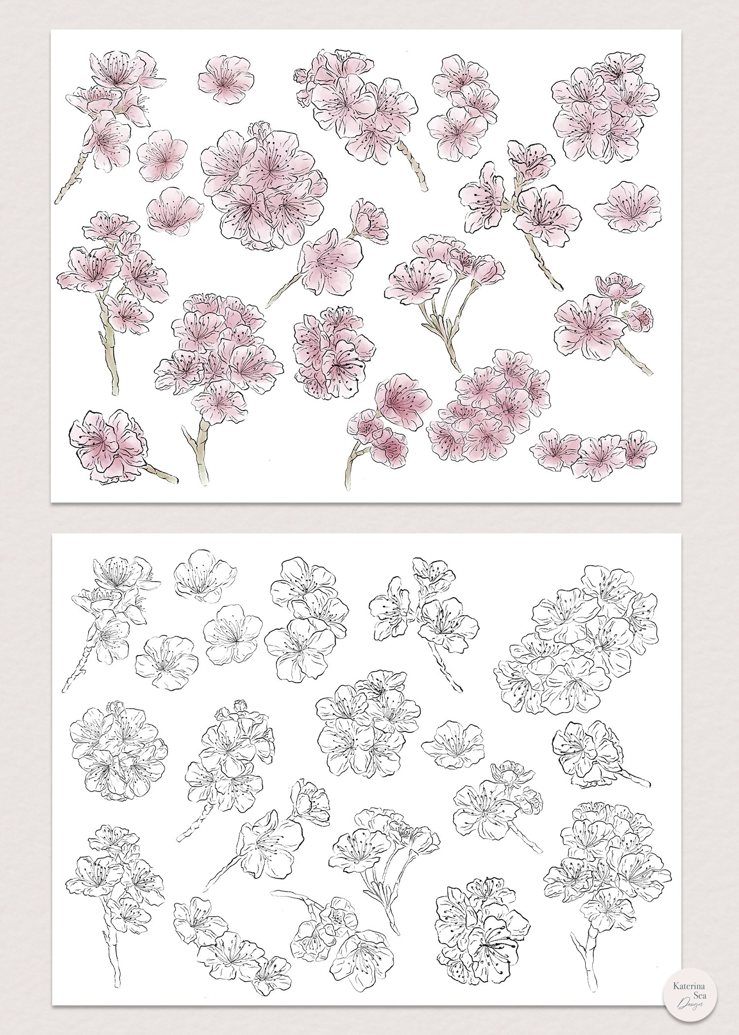 Sakura Flowers Ink & Watercolor Clip Art