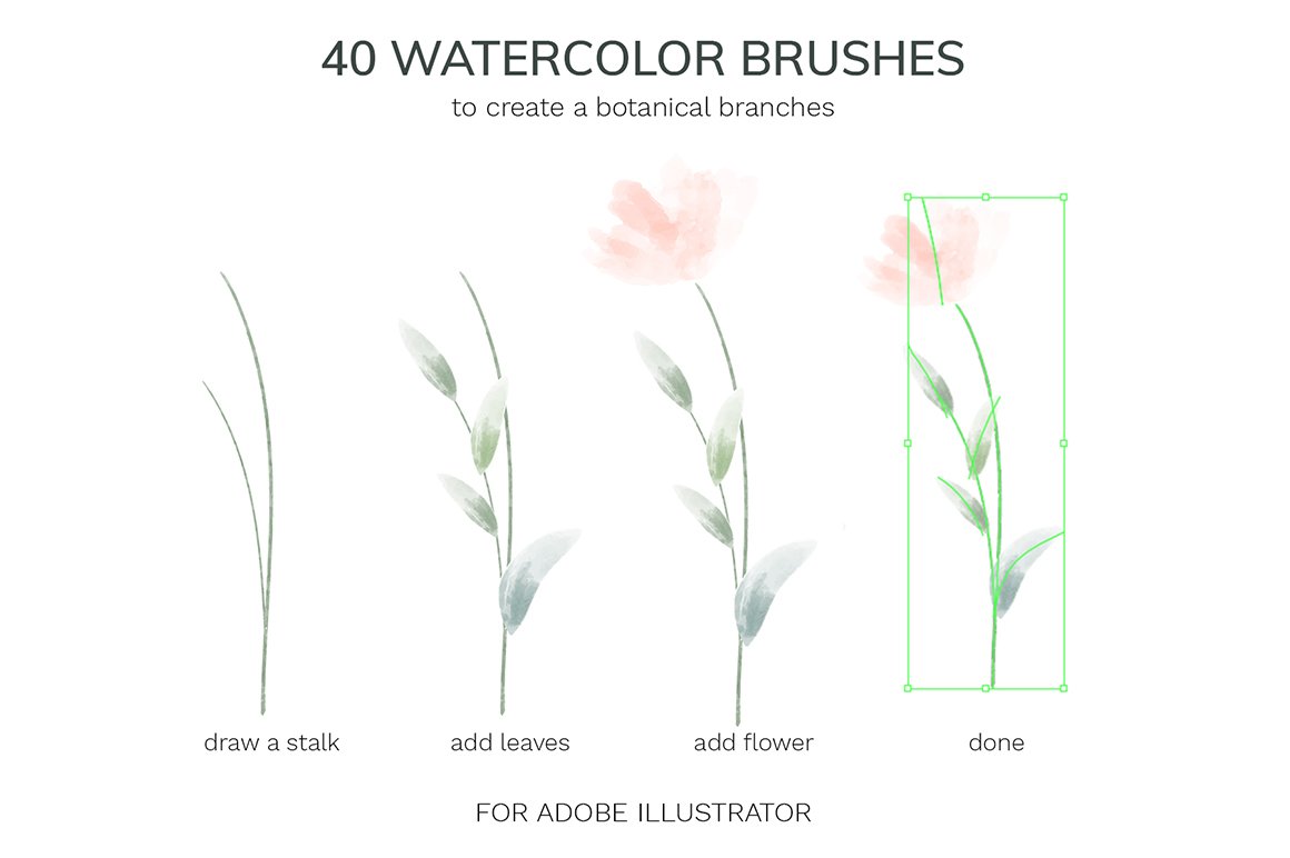 Vector Botanical Watercolor Brushes