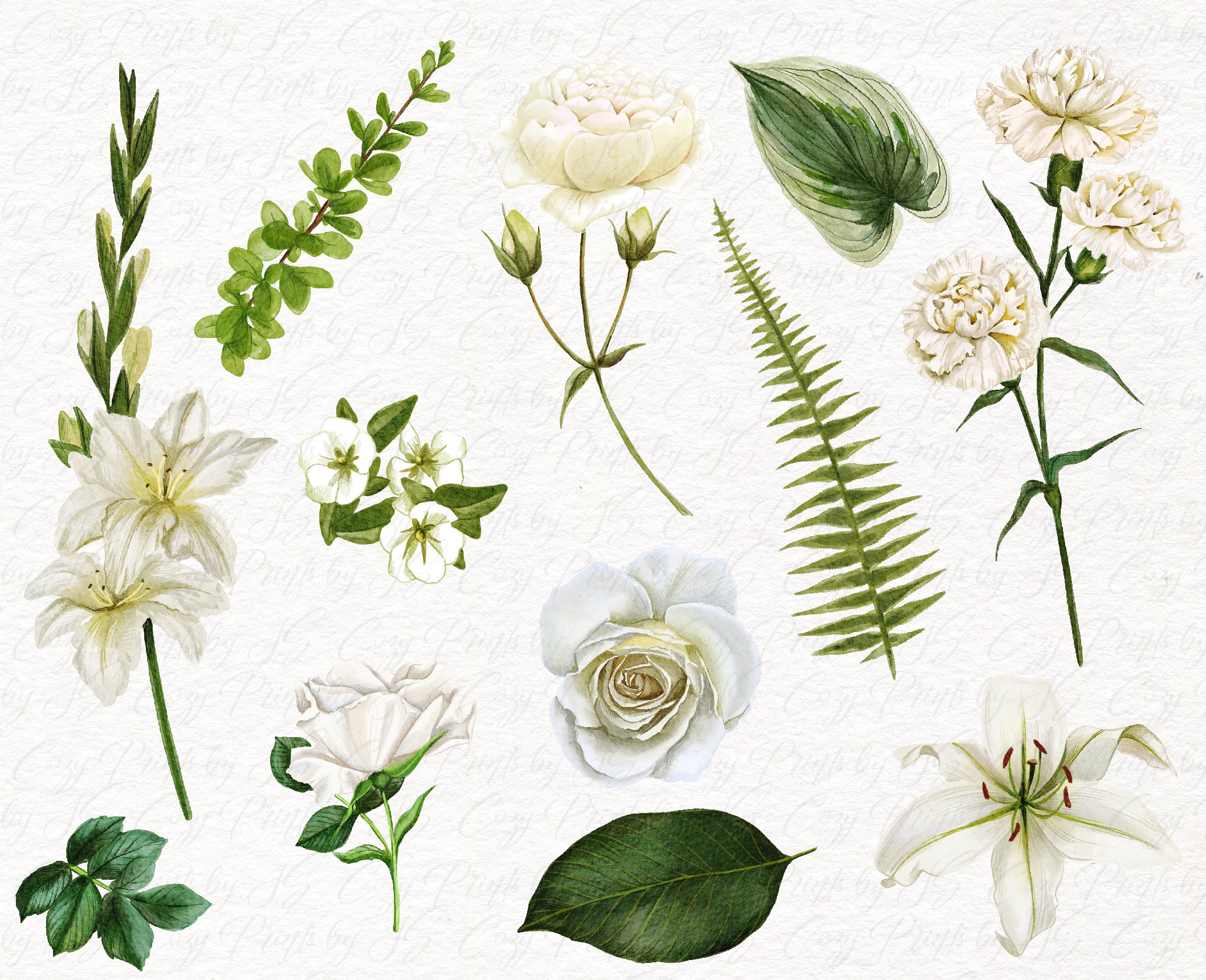 White Flowers, Watercolor Collection