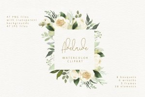 Adelaide Watercolor Clipart