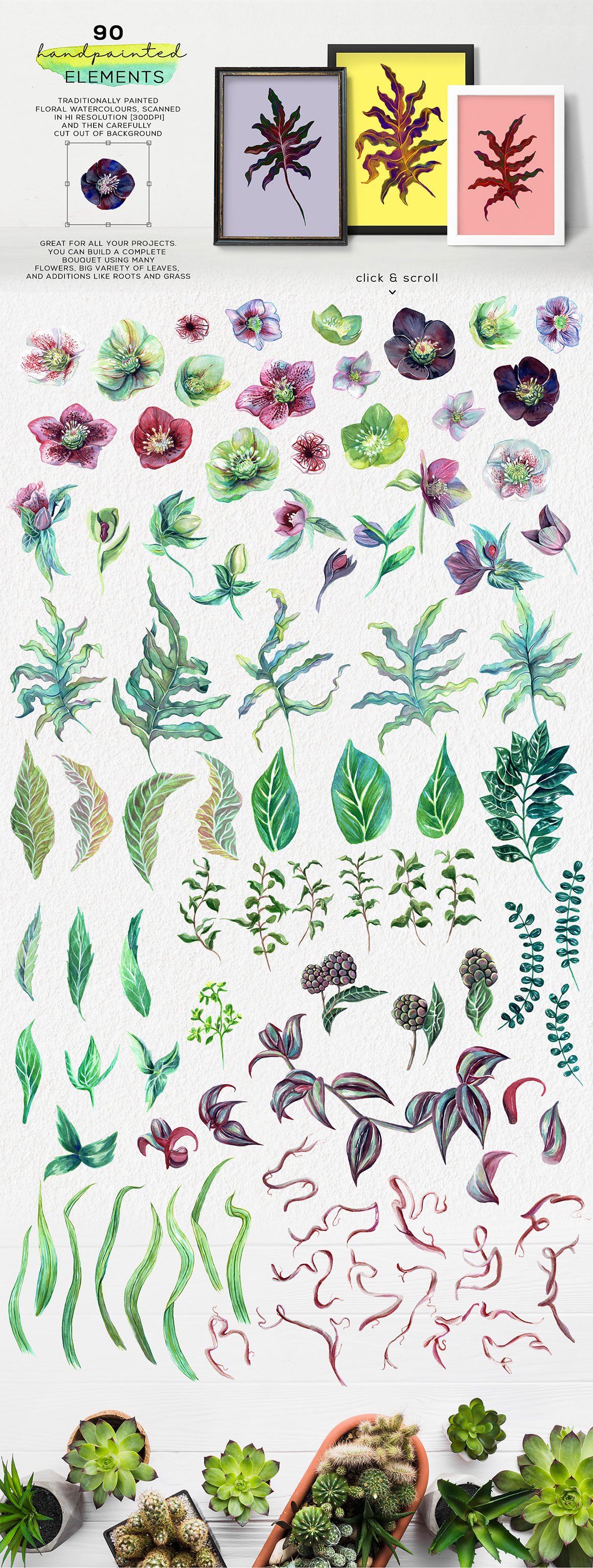 Botanica Floral & Greenery Watercolor Collection