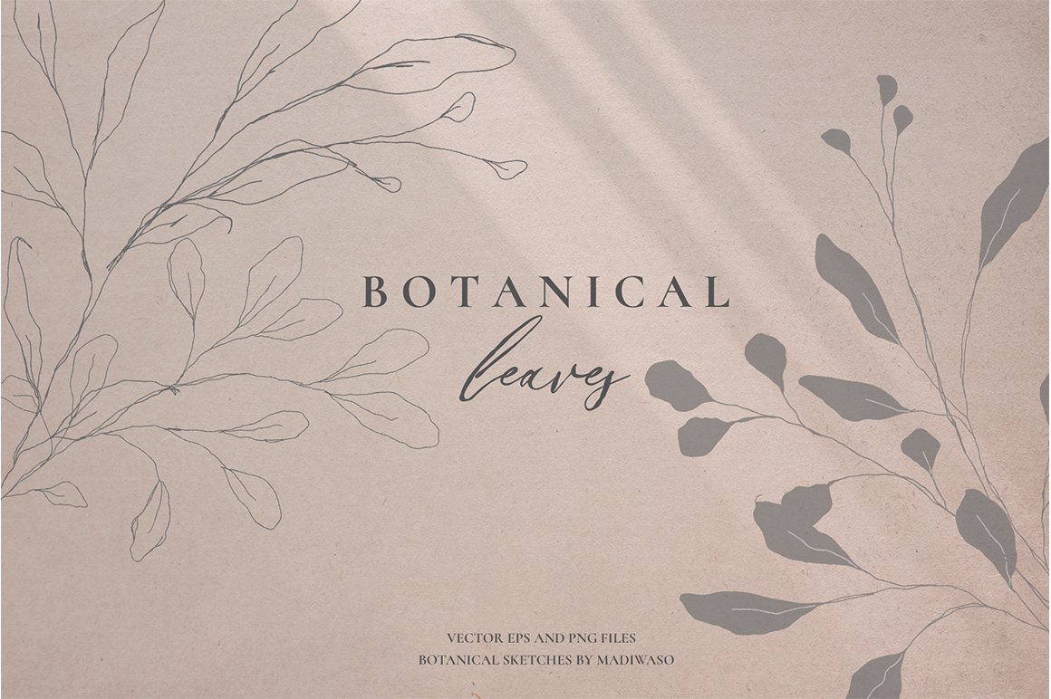 Botanical Leaves - Sketched Florals