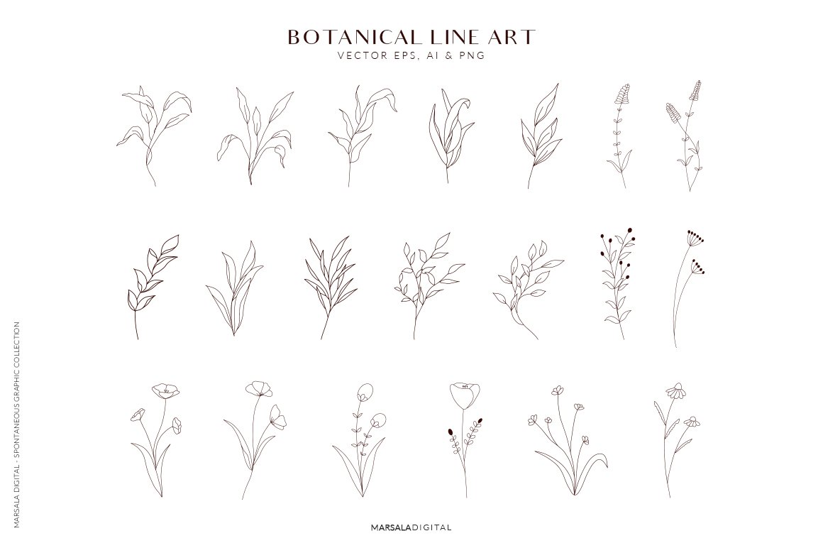 Botanical Line Art Abstract Shapes