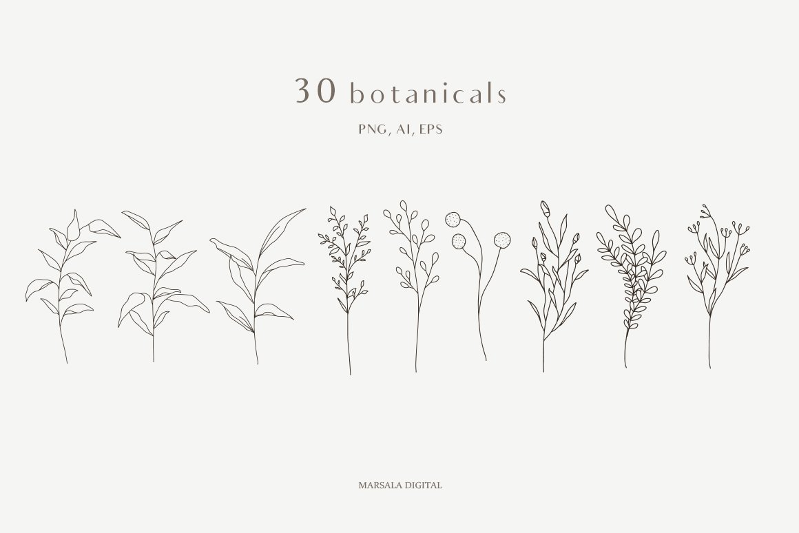 Botanical Line Art Illustrations Logo Elements