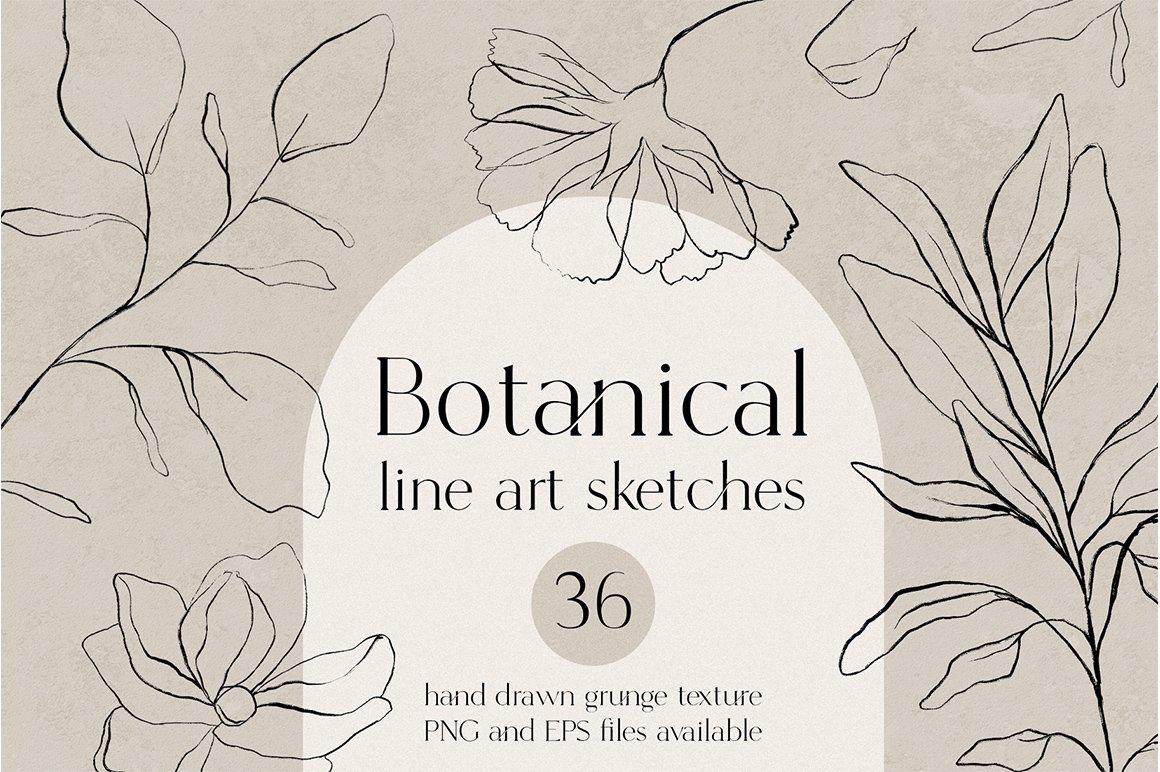 Botanical Line Art Sketches
