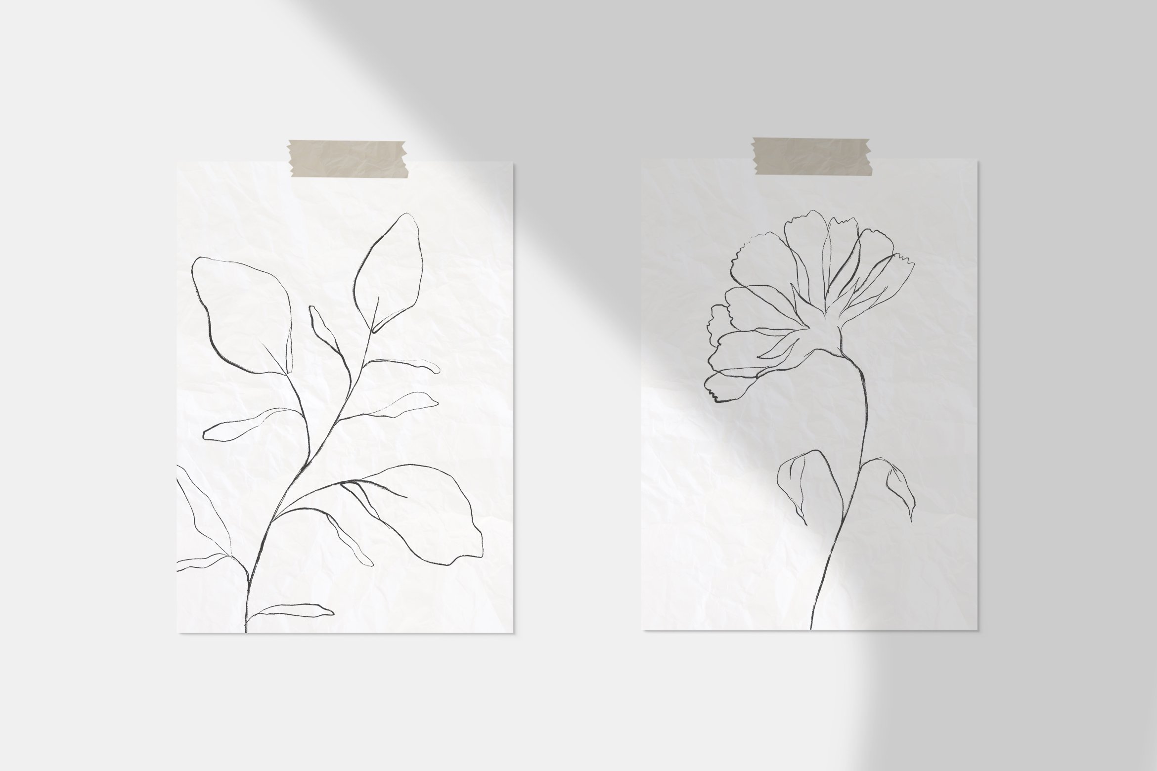 Botanical Line Art Sketches